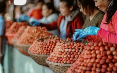 Alcuni cenni alla fiscalità indiretta di una marketplace per professionisti