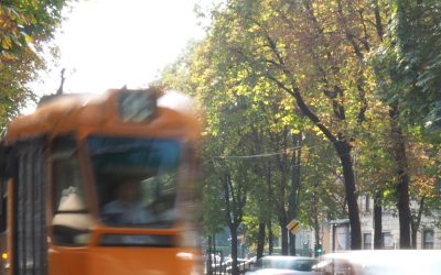 Le sanzioni per il cliente del dipendente pubblico che non richiede l’autorizzazione