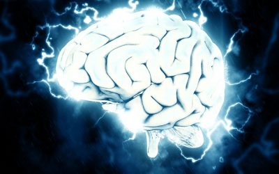 Agevolazione per il rientro dei “cervelli” in Italia: dubbio applicativo