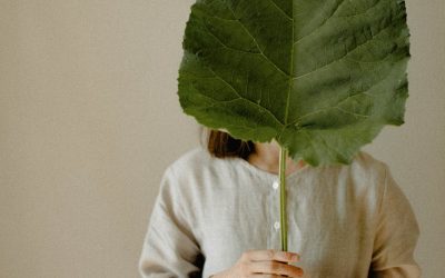 Imparare dai grandi per gestire la tua attività alla grande